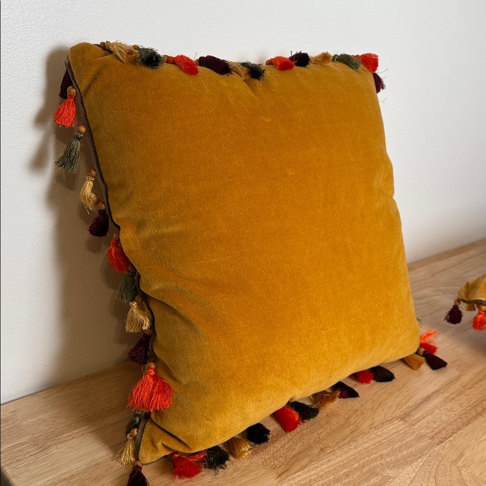 Set of Pier 1 Velvet boho pillow with tassels - Picture 10 of 13